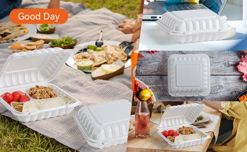 Hinged Food Container PP - With 3 Compartments