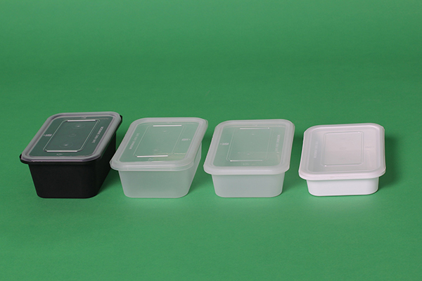 Plastic Food Containers with Lids - Takeaway - Microwave - Freezer Safe -  Boxes